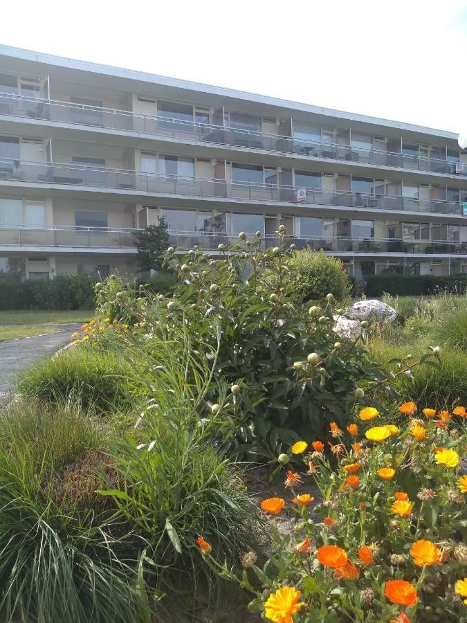 Apartamento Joy Lotus 105 De Haan Exterior foto